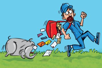 why do dogs hate the mailman?