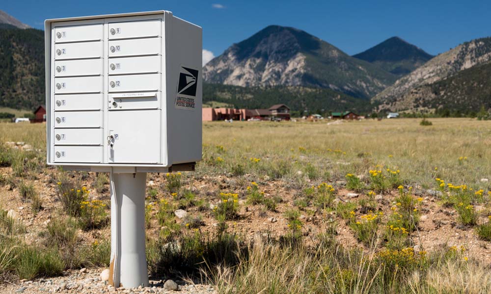 Buy United States Postal Service mail collection box mailbox coin bank stamp  dispenser blue Online